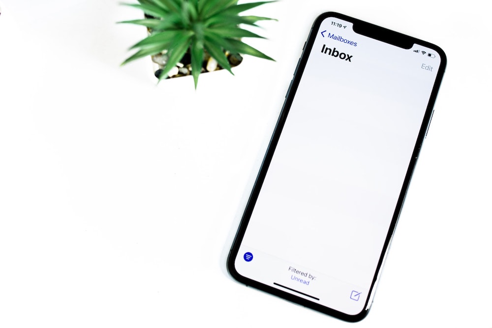 Succulent cactus and iPhone with an empty inbox shown on the screen on a white background.